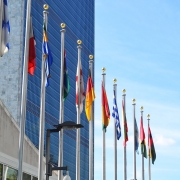What is the role of the United Nations Secretariat