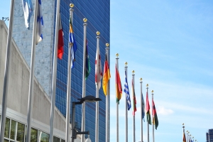 What is the role of the United Nations Secretariat