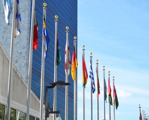 What is the role of the United Nations Secretariat