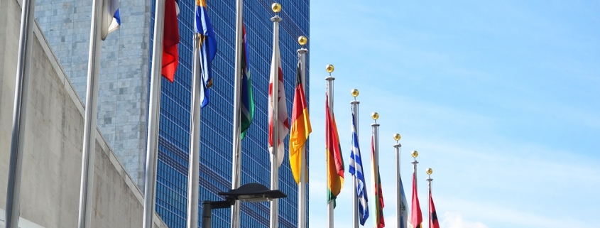 What is the role of the United Nations Secretariat