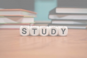 JC History Tuition Online - Study Notes and Exam Skills - H1 H2 History Tuition 2